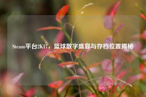 Steam平台2K17，篮球数字盛宴与存档位置揭秘