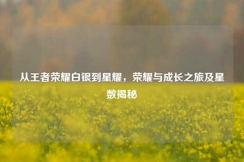 从王者荣耀白银到星耀,荣耀与成长之旅及星数揭秘