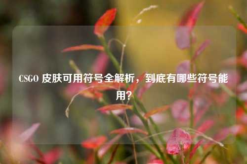 CSGO 皮肤可用符号全解析,到底有哪些符号能用?