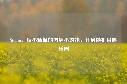Steam，短小精悍的肉鸽小游戏，开启随机冒险乐园