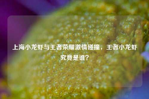 上海小龙虾与王者荣耀激情碰撞，王者小龙虾究竟是谁？
