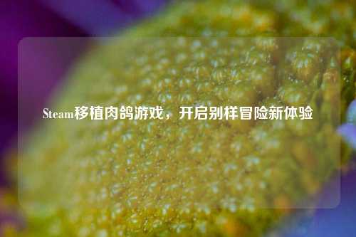 Steam移植肉鸽游戏,开启别样冒险新体验