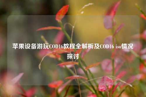 苹果设备游玩COD16教程全解析及COD16 iso情况探讨