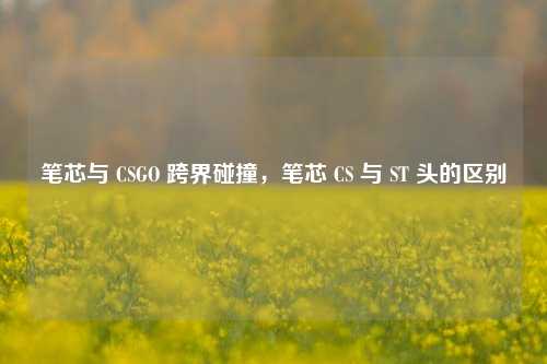 笔芯与 CSGO 跨界碰撞，笔芯 CS 与 ST 头的区别