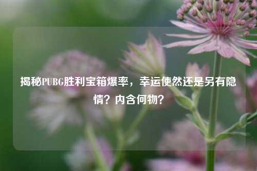 揭秘PUBG胜利宝箱爆率,幸运使然还是另有隐情?内含何物?
