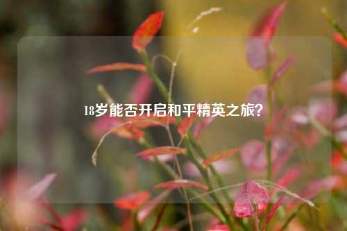 18岁能否开启和平精英之旅？