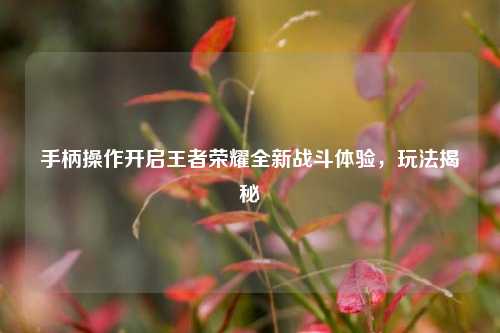 手柄操作开启王者荣耀全新战斗体验，玩法揭秘