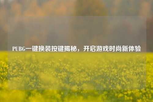 PUBG一键换装按键揭秘,开启游戏时尚新体验