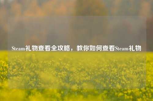 Steam礼物查看全攻略，教你如何查看Steam礼物