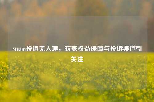 Steam投诉无人理,玩家权益保障与投诉渠道引关注