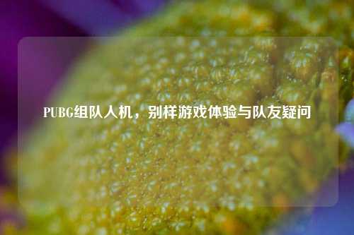 PUBG组队人机，别样游戏体验与队友疑问