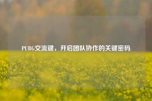 PUBG交流键,开启团队协作的关键密码
