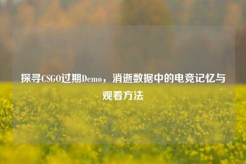 探寻CSGO过期Demo,消逝数据中的电竞记忆与观看方法