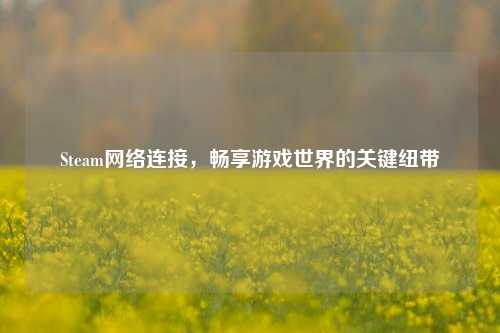 Steam网络连接，畅享游戏世界的关键纽带