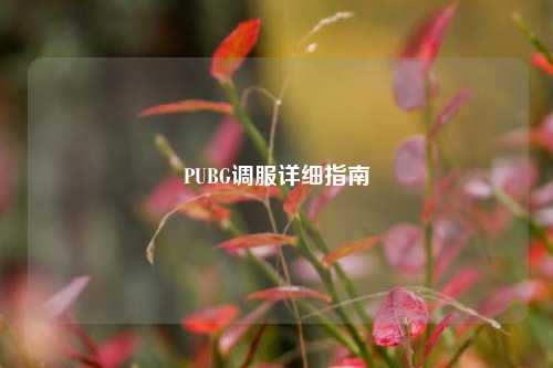 PUBG调服详细指南