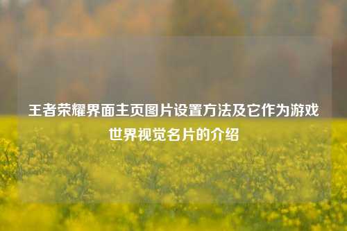 王者荣耀界面主页图片设置方法及它作为游戏世界视觉名片的介绍