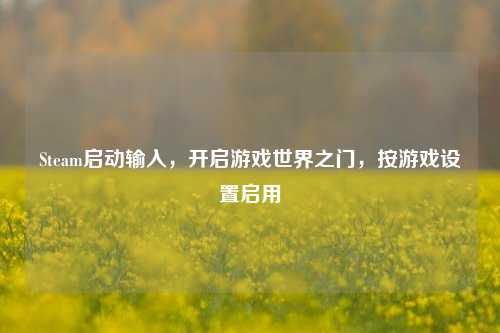 Steam启动输入，开启游戏世界之门，按游戏设置启用