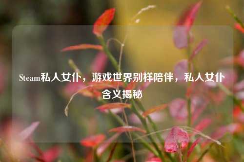 Steam私人女仆，游戏世界别样陪伴，私人女仆含义揭秘