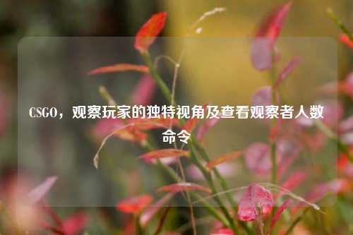 CSGO,观察玩家的独特视角及查看观察者人数命令