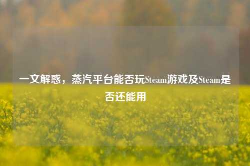 一文解惑，蒸汽平台能否玩Steam游戏及Steam是否还能用