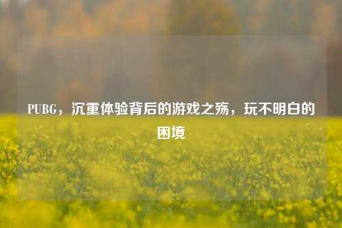 PUBG,沉重体验背后的游戏之殇,玩不明白的困境