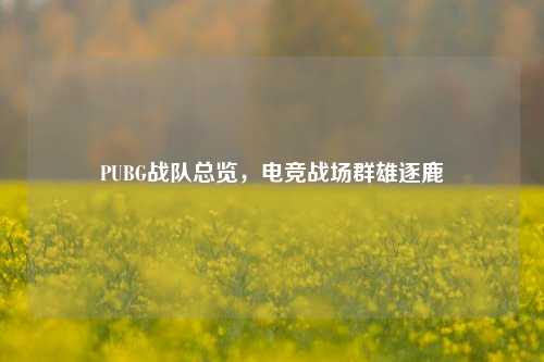 PUBG战队总览，电竞战场群雄逐鹿