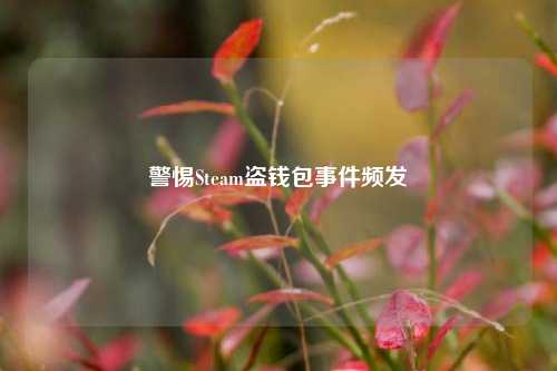 警惕Steam盗钱包事件频发