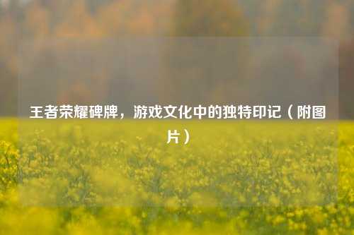 王者荣耀碑牌，游戏文化中的独特印记（附图片）
