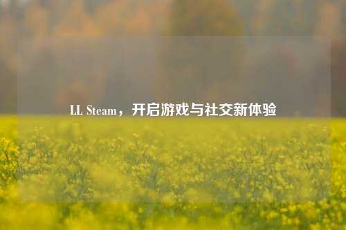 LL Steam，开启游戏与社交新体验