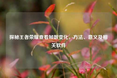 探秘王者荣耀查看帧数变化,方法、意义及相关软件