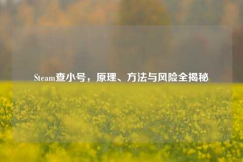 Steam查小号，原理、方法与风险全揭秘