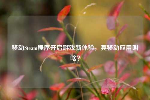 移动Steam程序开启游戏新体验，其移动应用叫啥？