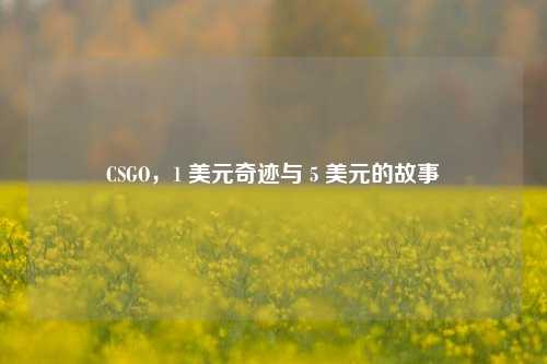CSGO,1 美元奇迹与 5 美元的故事