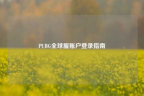 PUBG全球服账户登录指南