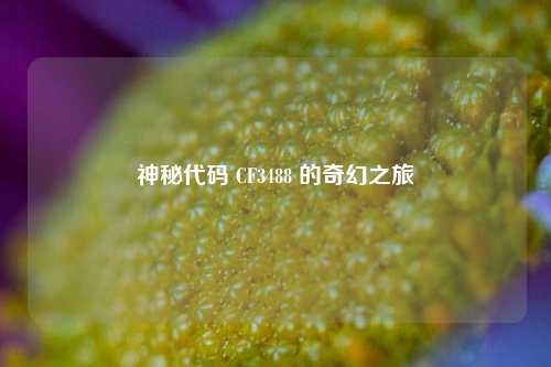 神秘代码 CF3488 的奇幻之旅