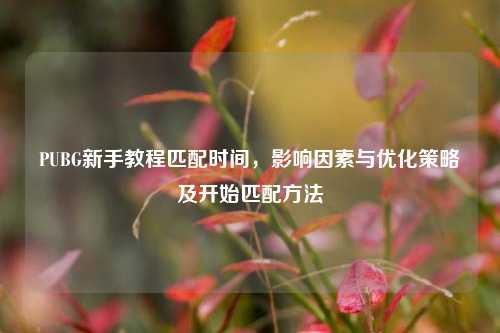 PUBG新手教程匹配时间,影响因素与优化策略及开始匹配方法