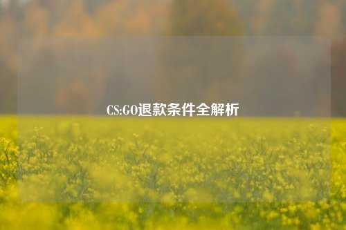 CS:GO退款条件全解析