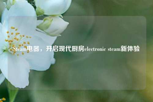 Steam电器,开启现代厨房electronic steam新体验