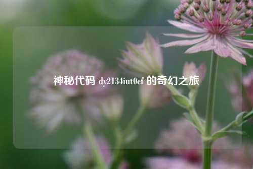 神秘代码 dy2134iut0cf 的奇幻之旅
