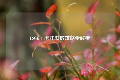 CSGO 15卡托获取攻略全解析