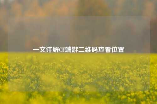 一文详解CF端游二维码查看位置