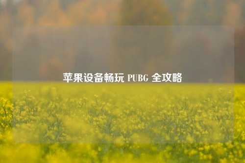 苹果设备畅玩 PUBG 全攻略