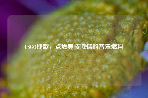 CSGO拽歌，点燃竞技激情的音乐燃料