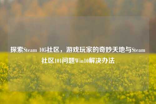 探索Steam 105社区，游戏玩家的奇妙天地与Steam社区101问题Win10解决办法