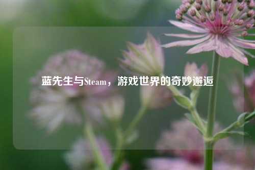 蓝先生与Steam，游戏世界的奇妙邂逅