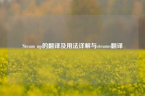 Steam up的翻译及用法详解与steams翻译