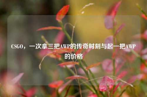 CSGO,一次拿三把AWP的传奇时刻与起一把AWP的价格