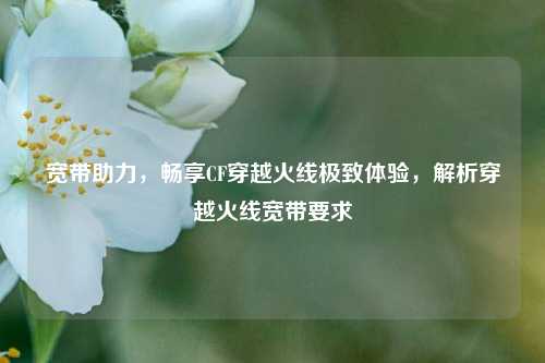 宽带助力，畅享CF穿越火线极致体验，解析穿越火线宽带要求