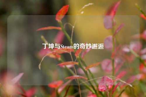 丁坤与Steam的奇妙邂逅