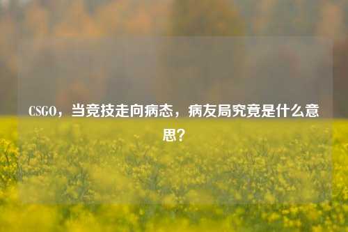 CSGO,当竞技走向病态,病友局究竟是什么意思?